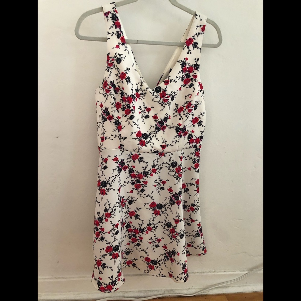 Forever 21 Fit and Flare Sun Dress - White and Red Floral L